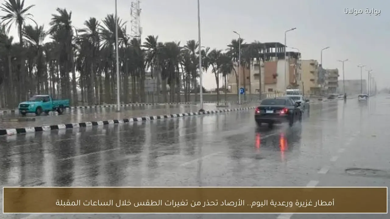 تحذير من الأرصاد بشأن أمطار غزيرة ورعدية متوقعة خلال الساعات المقبلة